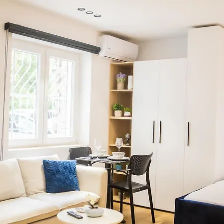 Matisse No17 - Center Daire